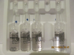 IMG 1347