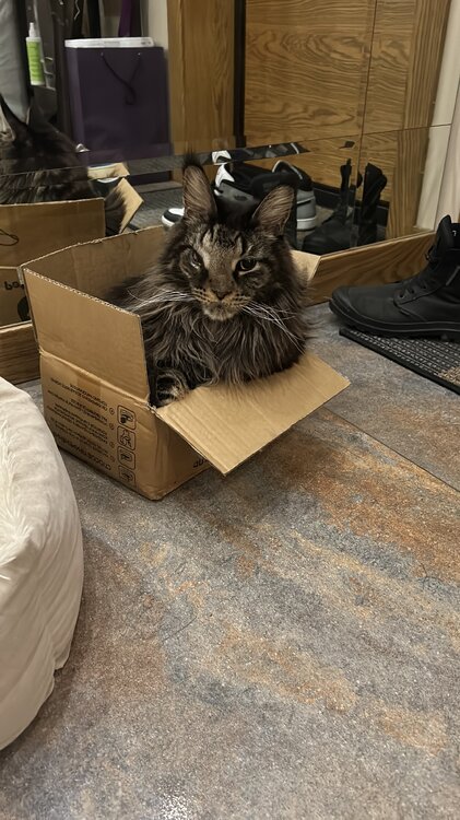 84FF0140-3A3A-4E3A-8A51-AAF6DDA6F31E.jpeg